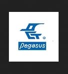 Pegasus logo
