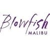 Blowfish Malibu logo