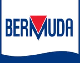 Bermuda logo