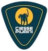 Ciesse Piumini logo