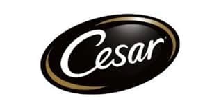 Cesar logo