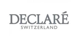 Declare logo
