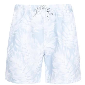 SoulCal Shorts - Light Blue Palm