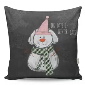 A12952 Multicolor Cushion