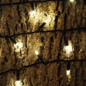 Lyyt LED String Light Battery Operated Warm White