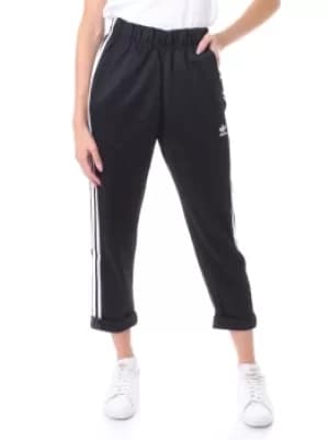 Adidas sports Women acetata