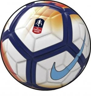 Nike FA Cup Pitch Football