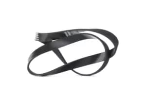 DAYCO V-ribbed belt VW,AUDI,SKODA 6PK1000 04E145933A,04E145933R,4E145933A 5750PF,5750XG,9653204180,9653204380,156708,6019973592,5750PF,5750QP,5750XG