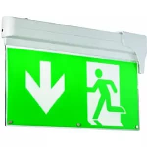 Loops - 4 in 1 Fire Exit Emergency Ceiling / Wall Pendant Light 1W LED Suspended Escape