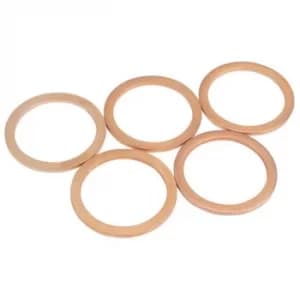 Draper Spare Washer M22 for 24014