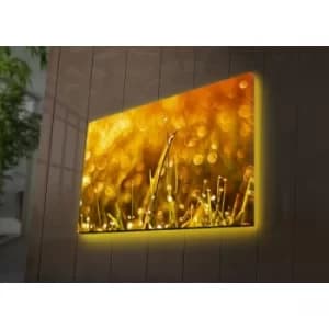 4570DACT-66 Multicolor Decorative LED Lighted Canvas Painting