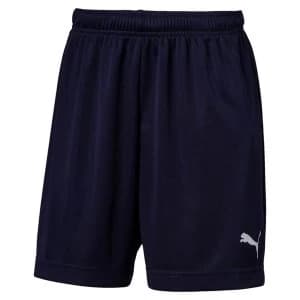 Puma ftblPLAY Training Short Peacoat - Large