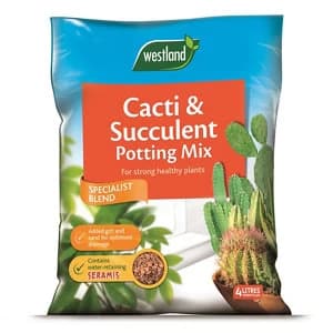 Westland Cacti & succulent Compost 4L