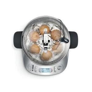 Sage BEG800SIL The One Precision Poacher