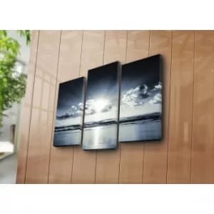 3NATPAT-12 Multicolor Decorative Canvas Painting (3 Pieces)