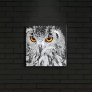 2828?ACT-19 Multicolor Decorative LED Lighted Canvas Painting