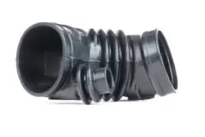 MEYLE Intake Manifold, air supply BMW 300 137 1107 13711726205,13711726325,1726205