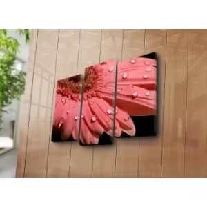 3KBPAT-10 Multicolor Decorative Canvas Painting (3 Pieces)