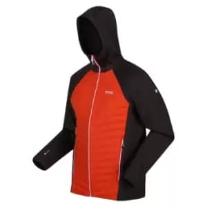 Regatta Anderson VII hybrid Insulated Jacket - RustyOra/Ash