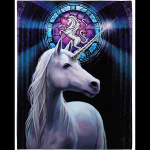 Small Enlightenment Canvas Picture by Anne Stokes