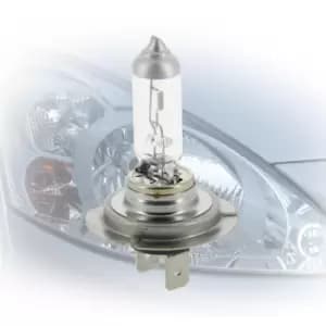 Michelin Light Bulbs H7 008707 Bulb, spotlight VW,AUDI,MERCEDES-BENZ,Golf IV Schragheck (1J1),Golf V Schragheck (1K1),POLO (9N_),TOURAN (1T1, 1T2)