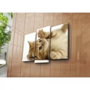 3NATPAT-17 Multicolor Decorative Canvas Painting (3 Pieces)