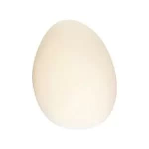 Larissa Thebes LED Wall Lamp 5W 3000K Glass, Iron White