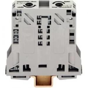 Continuity 20 mm Pull spring Configuration L Grey