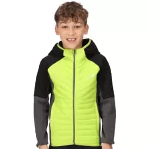 Regatta Boys Kielder Hybrid VI Water Repellent Padded Coat 3-4 Years - Chest 55-57cm (Height 98-104cm)