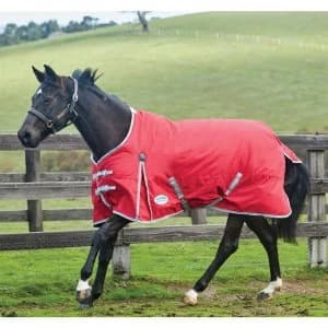 Weatherbeeta ComFiTec Classic Standard Neck Medium - Red/Silver/Navy