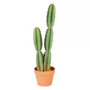 The Outdoor Living Company 68cm Cereus Cactus in Plastic Pot