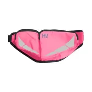 HyVIZ Bum Bag (One Size) (Pink)