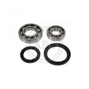 Rear (left /right) Wheel Bearing Kit A.B.S. 200523