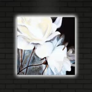 4040DACT-3 Multicolor Decorative LED Lighted Canvas Painting