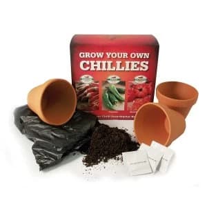 Robert Dyas Grow Your Own Chillies Indoor Starter Kit