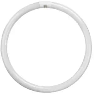 Crompton Lamps Fluorescent T9 Circular 60W 4-Pin Warm White FC60W/830