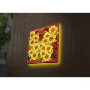 4040DACT-51 Multicolor Decorative LED Lighted Canvas Painting