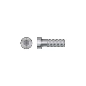 M10X16 Skt Low Head Cap Screw (GR-8.8)