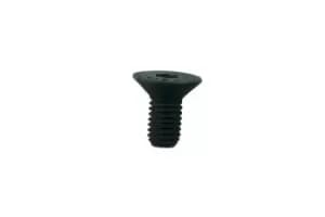 Connect 34135 Fixing Screws for Disc and Drum Brakes M8 x 1.25mm - Pack 10