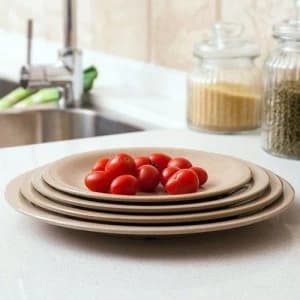 OLPRO Husk Round Plate- Extra Large Pack of 4