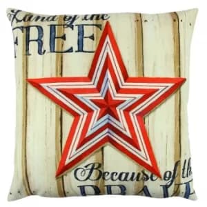 A12610 Multicolor Cushion