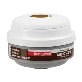 N06575081L Filter A1P3 (Pair) - Honeywell North