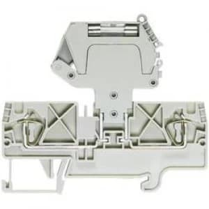 Wieland 56.704.4055.0 WKFN 4 TKG35 0.13 6 mm2 Grey