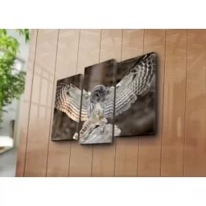 3NATPAT-2 Multicolor Decorative Canvas Painting (3 Pieces)