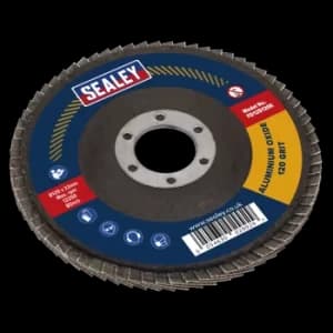 Flap Disc Aluminium Oxide 125mm 22mm Bore 120Grit