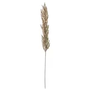 Gallery Interiors Fawn Pampas Grass (3pk)