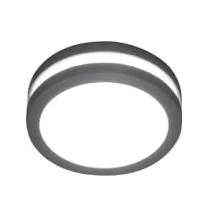 Ano 1 Light Outdoor Wall / Ceiling Lantern Light Graphite IP54