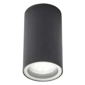 Zinc Ceiling Light Porch Ceiling Light LETO Anthracite Grey