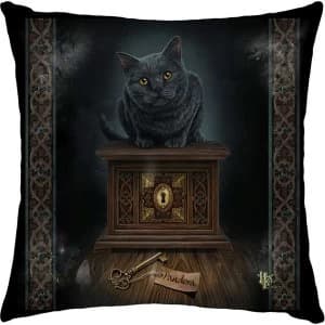 Pandoras Box Cushion