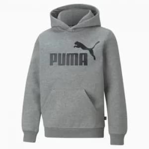 PUMA Essentials Big Logo Youth Hoodie, Medium Grey Heather, size 3-4 Youth, Clothing